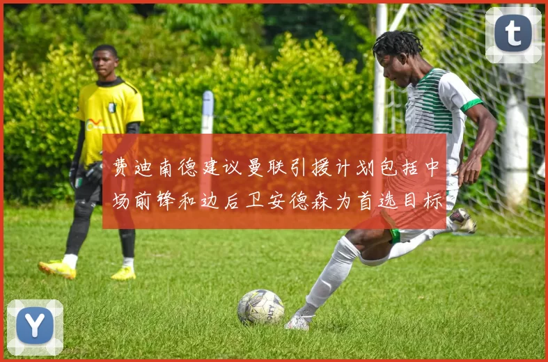 费迪南德建议曼联引援计划包括中场前锋和边后卫安德森为首选目标